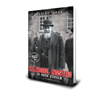 Razboiul Nostru in Note Zilnice (vol. 2) - Nicolae Iorga